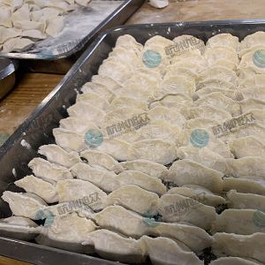仿手工包餃子機(jī)大小均勻老客戶反饋！